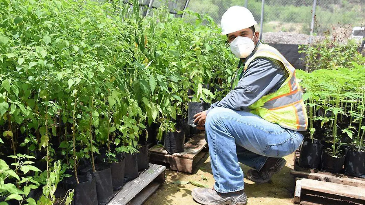 Minería medio ambiente 4