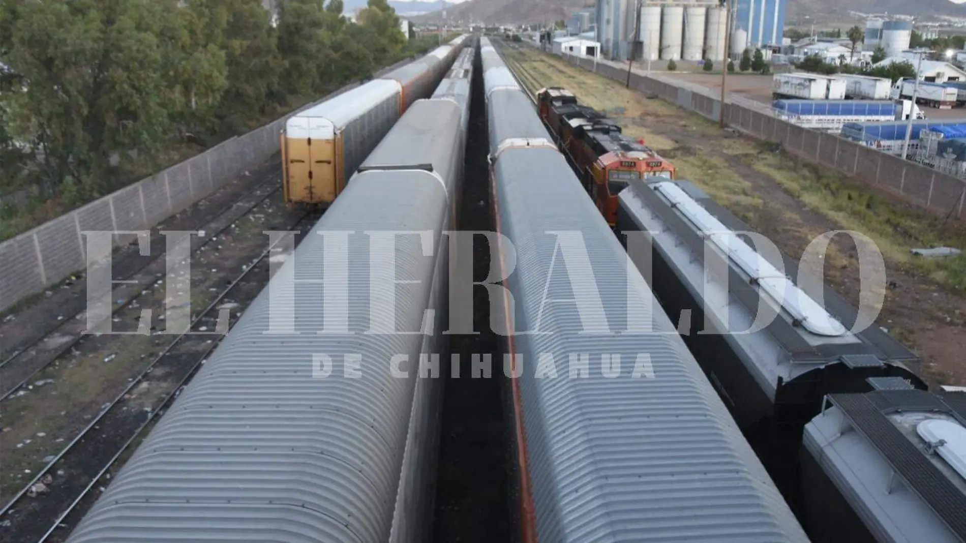 trenes ferromex migrantes