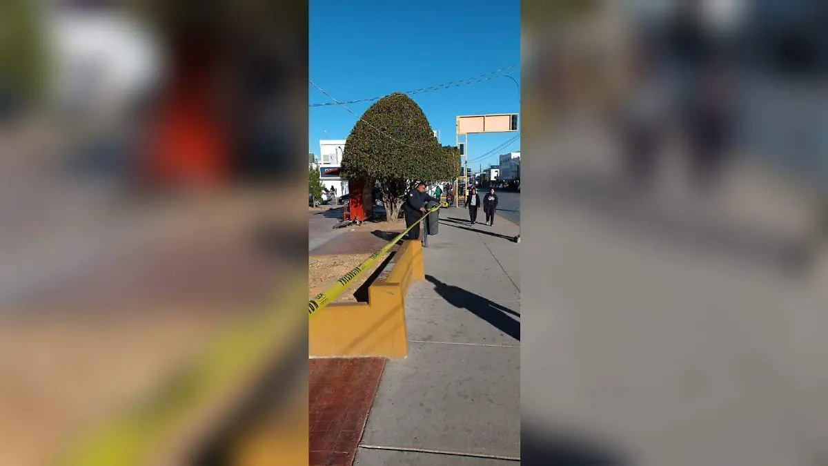 Imagen de WhatsApp 2023-03-02 a las 12.31.28