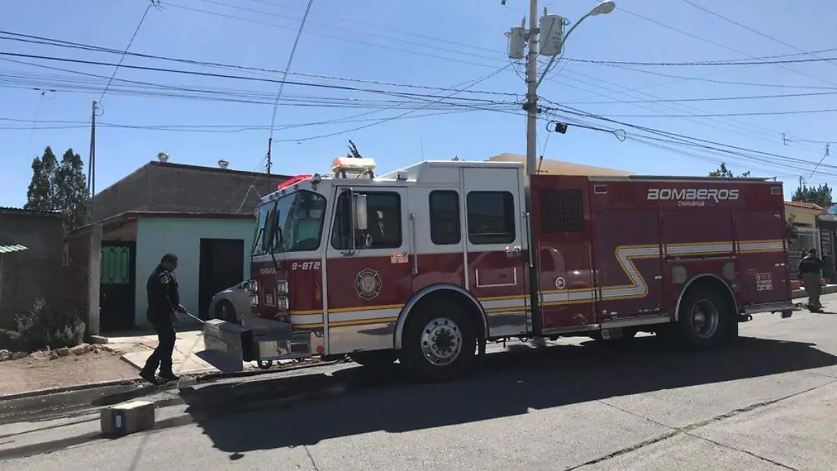 WhatsApp Image 2023-03-02 at 1.30.52 PM