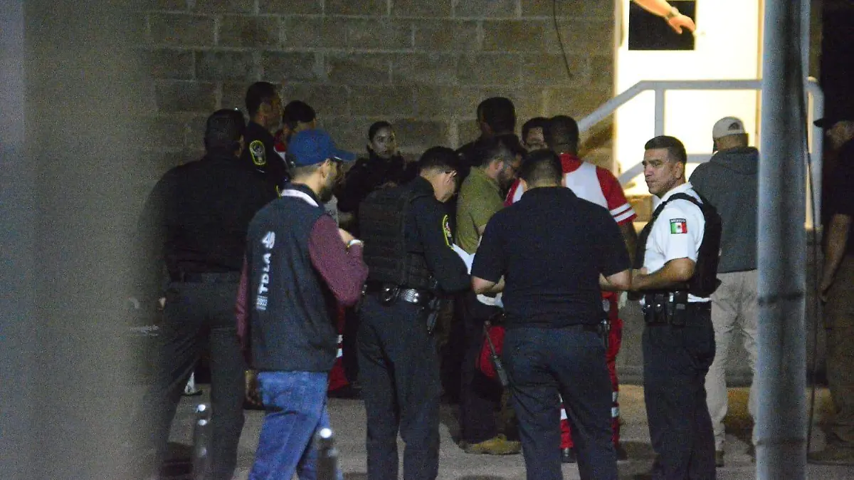 79b2995b-208a-4f5c-a5da-d166ffa5e3b9