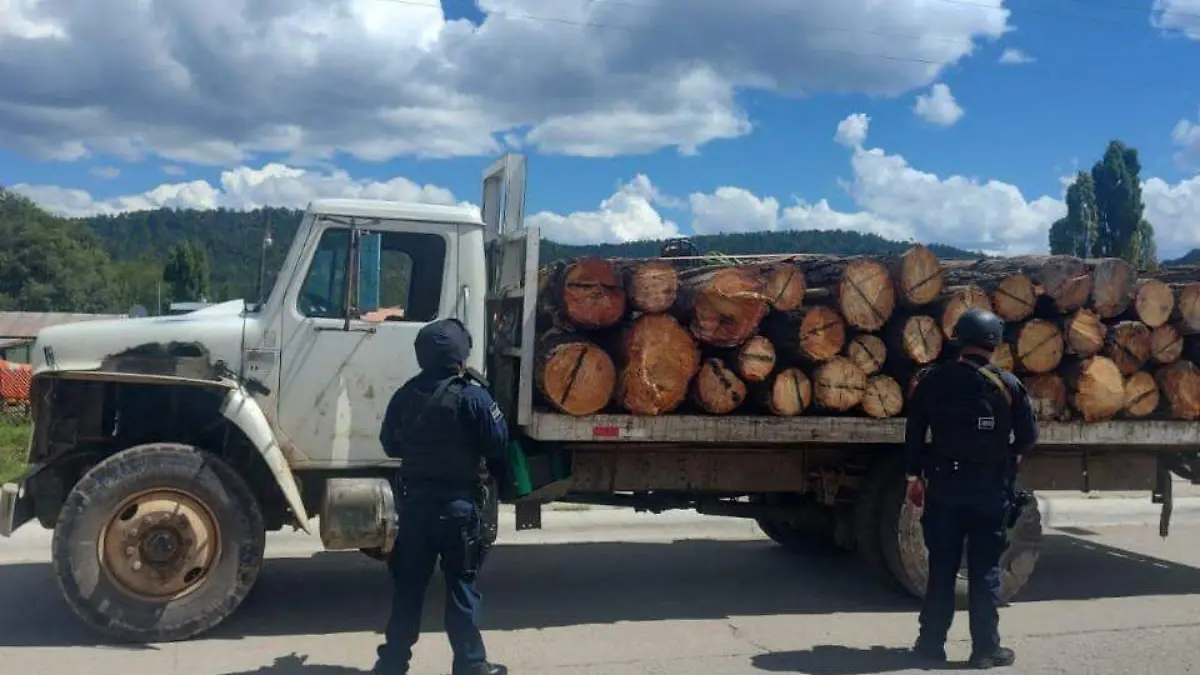 aseguramiento de madera