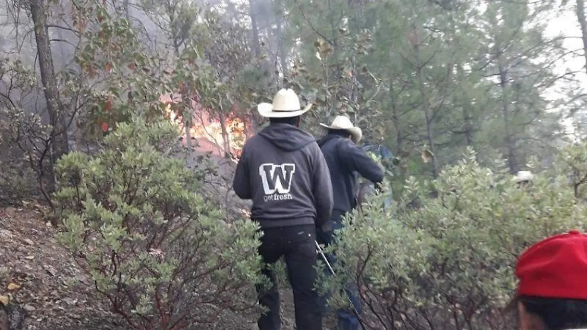 incendio244- cts
