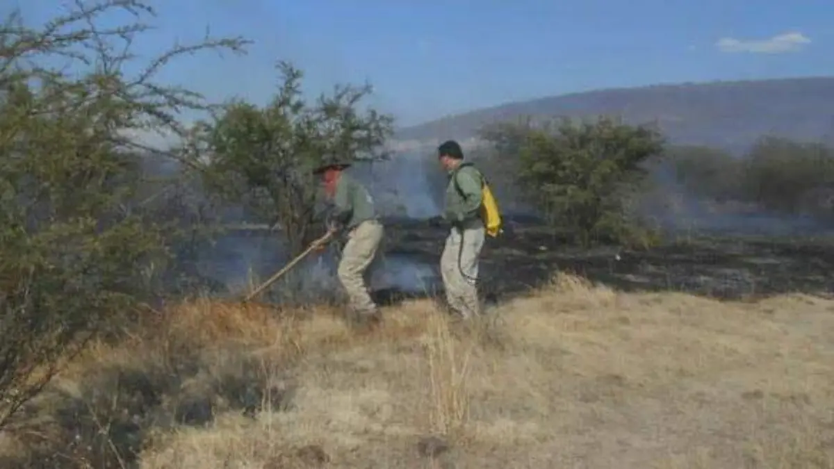 campañaabrigadistas