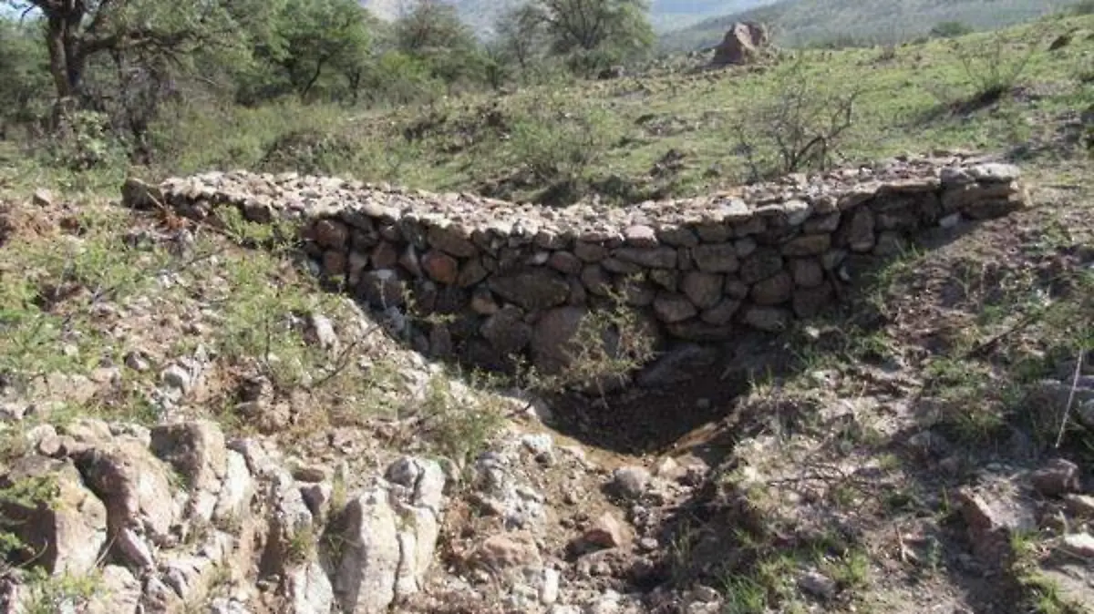 rescateecosistemamunicipio