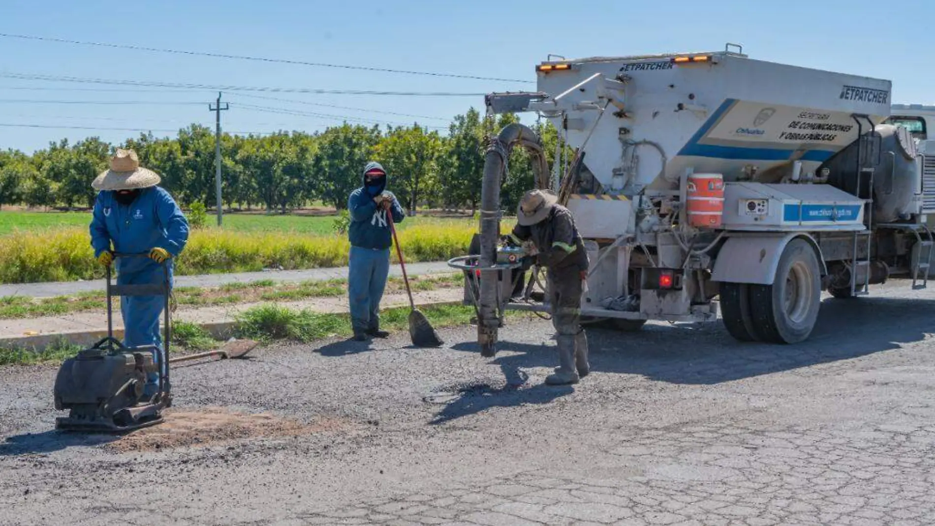 baches