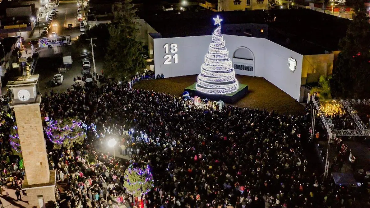 ENCENDIDO DEL ÁRBOL NAVIDEÑO DELICIAS