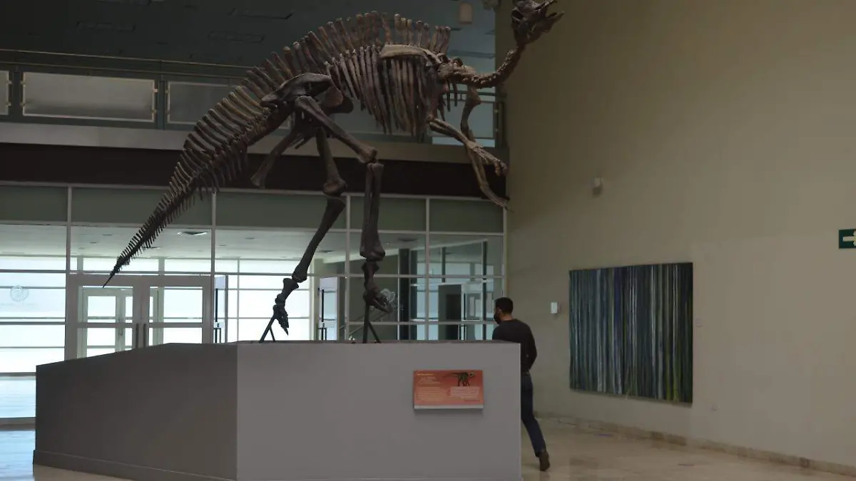 Aforo en el museo del desierto