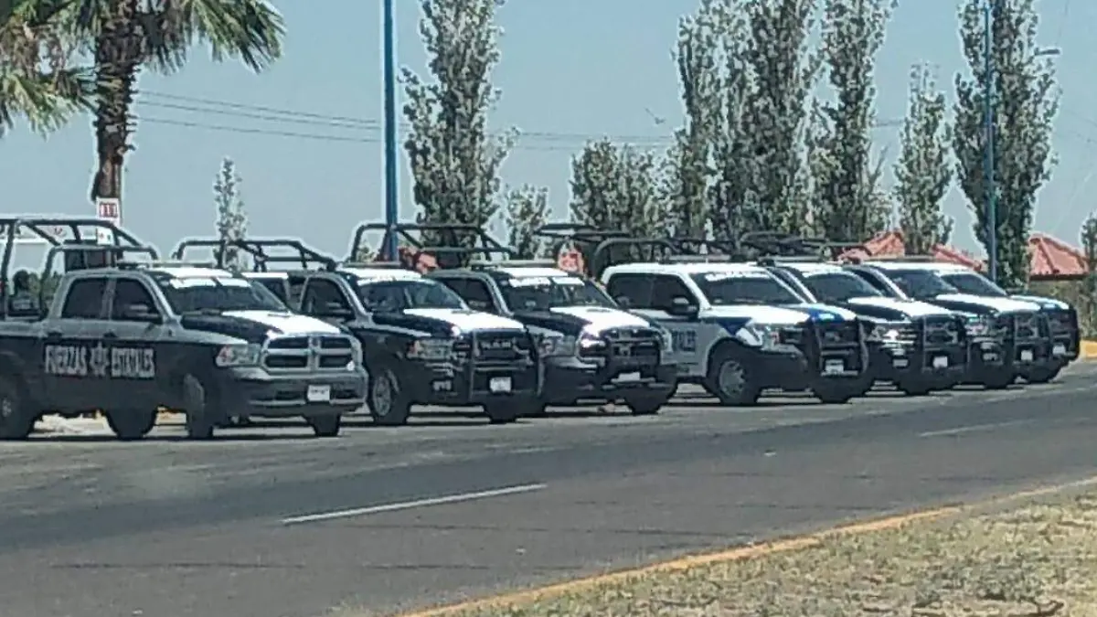 policía estatal