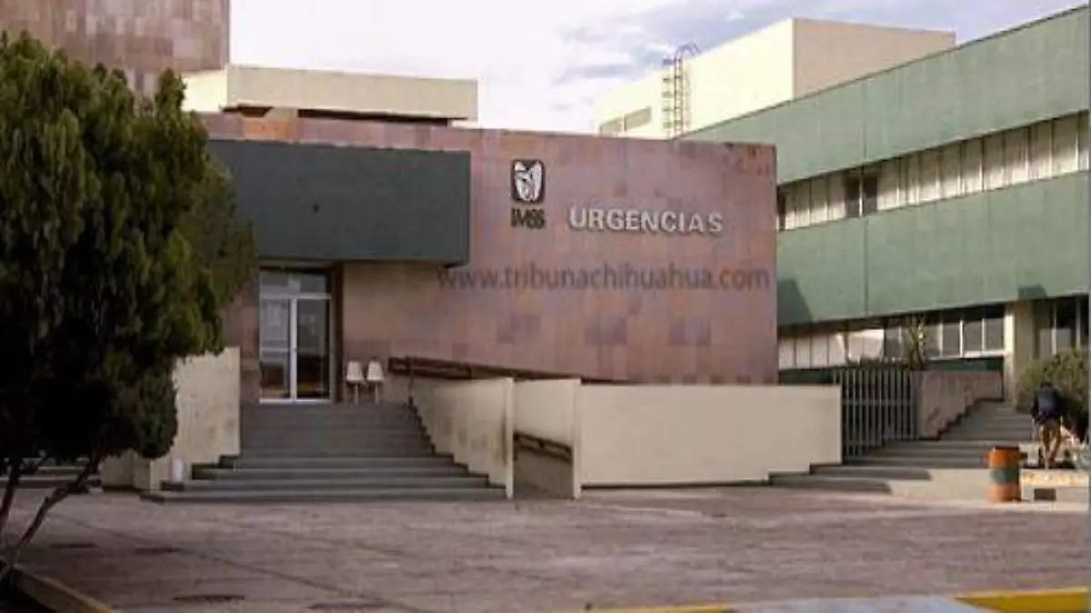 imss-delicias-negligencias-1f4e09a