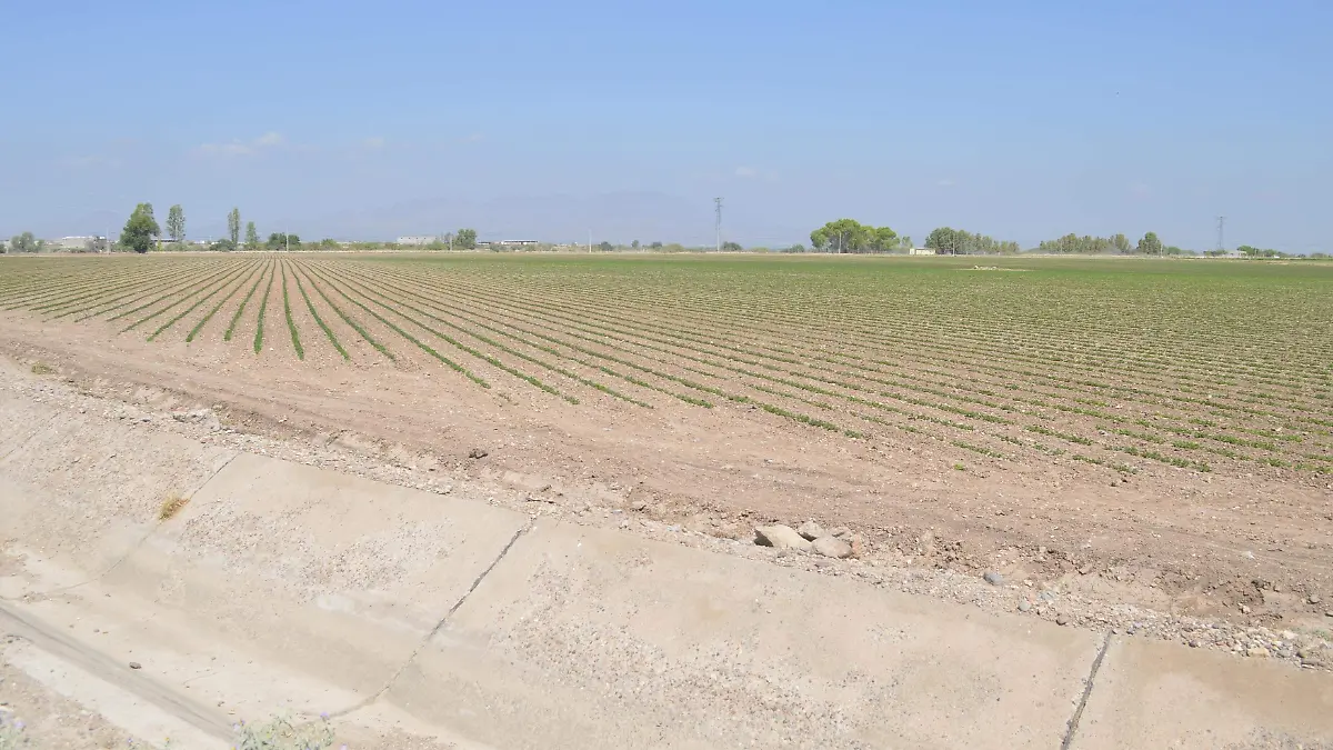 Tierras cultivables