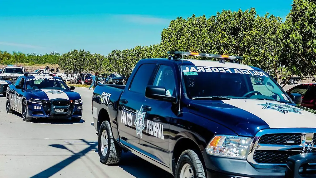 4.- Operativo en Saucillo