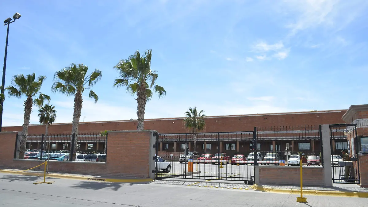 PLANTA WRANGLER DELICIAS