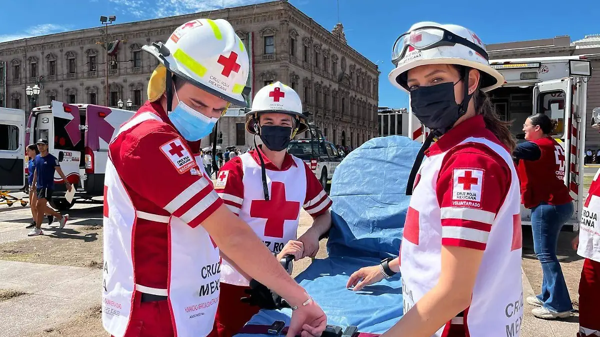 WhatsApp Image 2024-11-15 at 1.59.12 PM