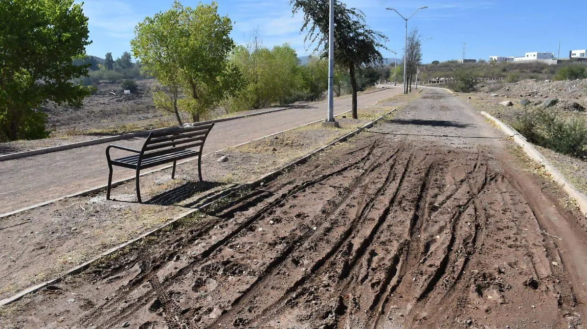 WhatsApp Image 2024-11-12 at 5.36.40 PM