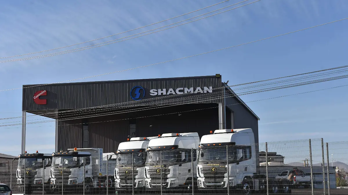 web, revista e impreso