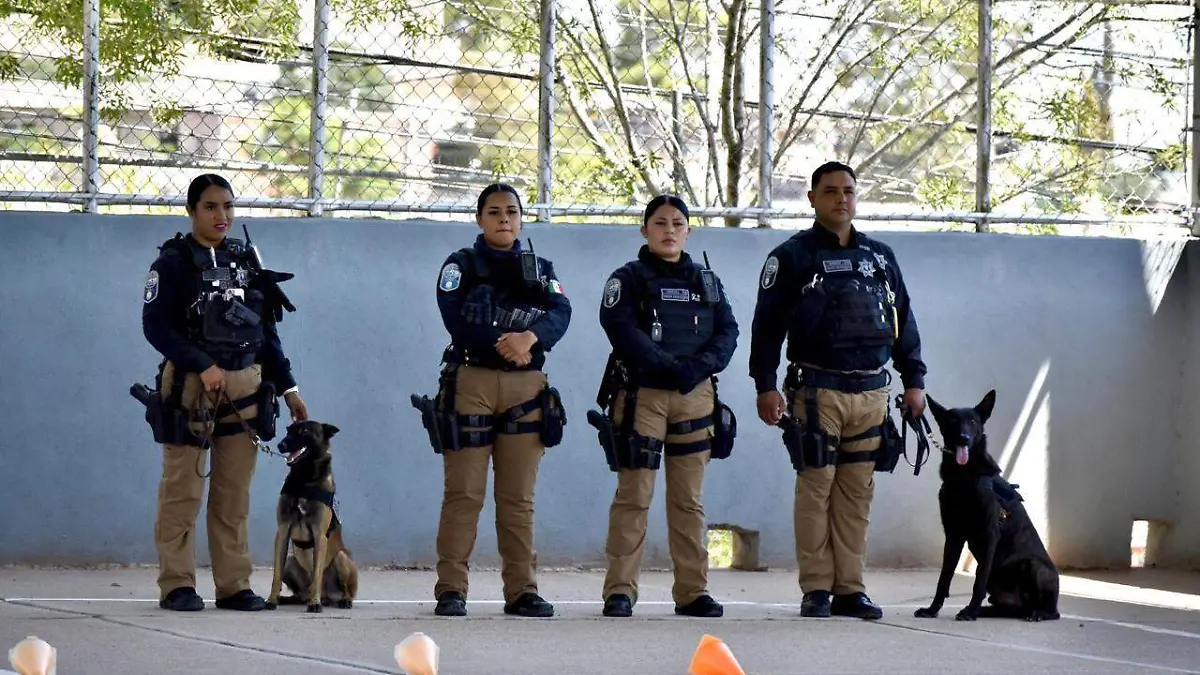Agentes K9 perros policías SSPE