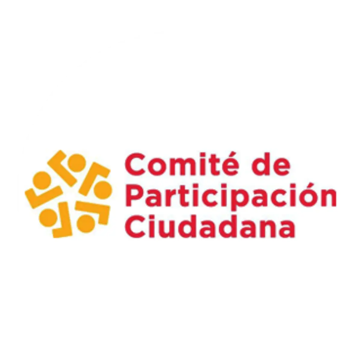 comité de partcipación ciudadana - Alejandra Lugo Reyes