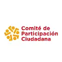 comité de partcipación ciudadana - Alejandra Lugo Reyes