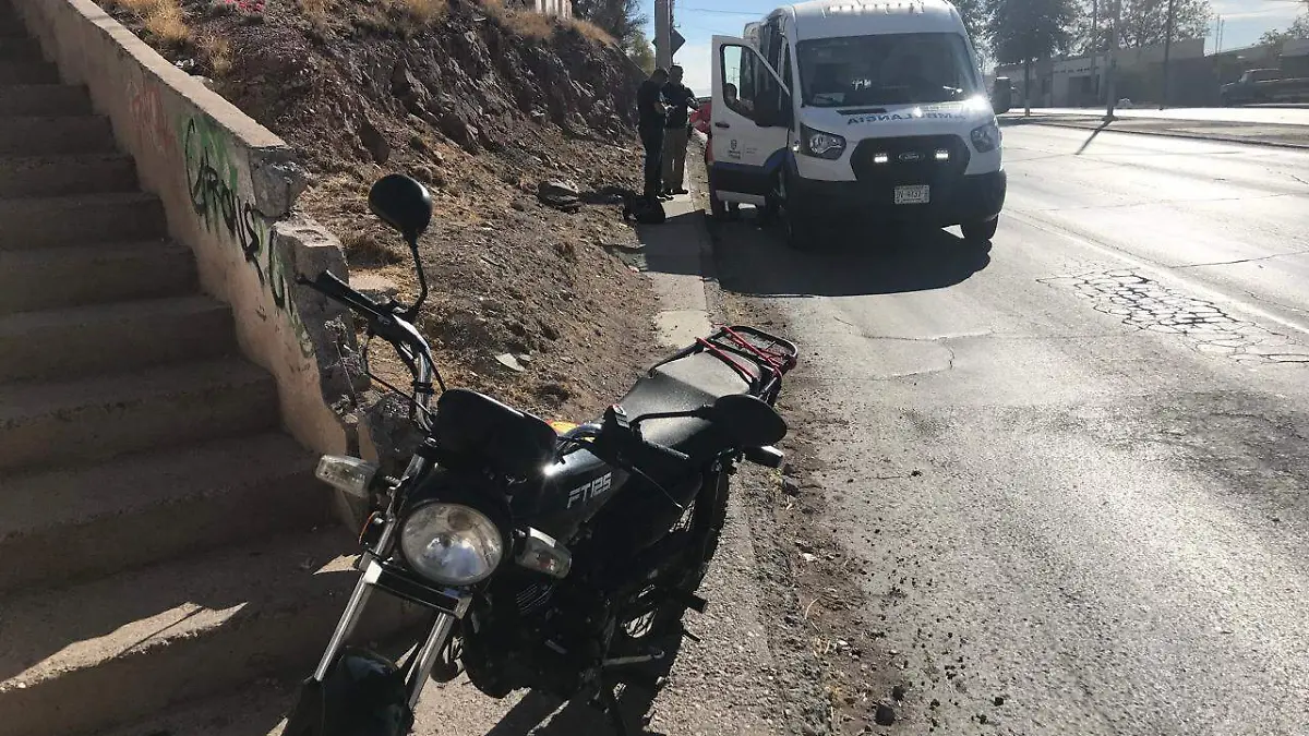 WhatsApp Image 2024-11-25 at 12.37.28 PM