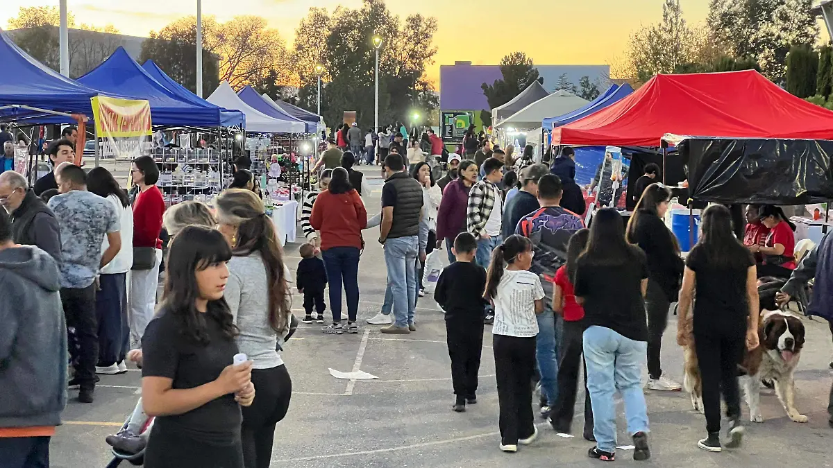 WhatsApp Image 2024-11-24 at 12.15.10 PM