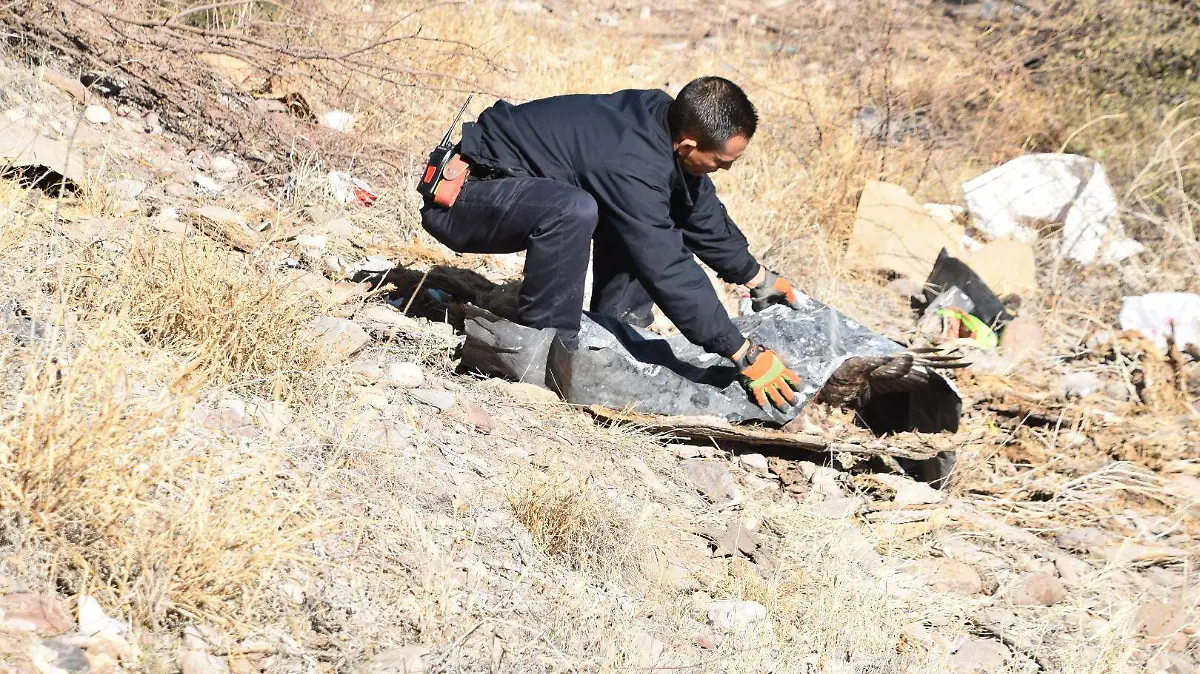 Rescate Aguila Río Sacramento 