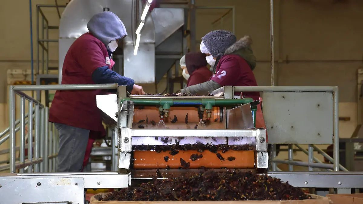 procesadora chipotles de camargo seleccion y empaques de chipotles y su comercializacion 