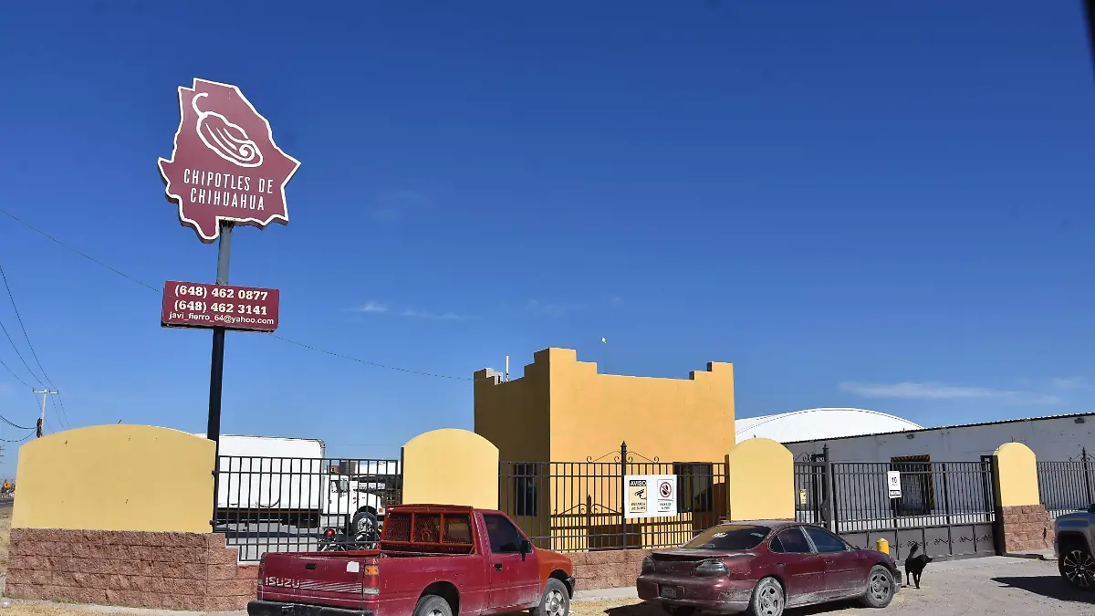 procesadora chipotles de camargo seleccion y empaques de chipotles y su comercializacion