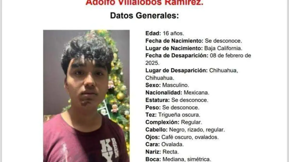 Adolfo Villalobos ramírez