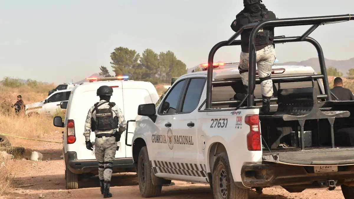 WhatsApp Image 2025-02-21 at 8.51.28 AM