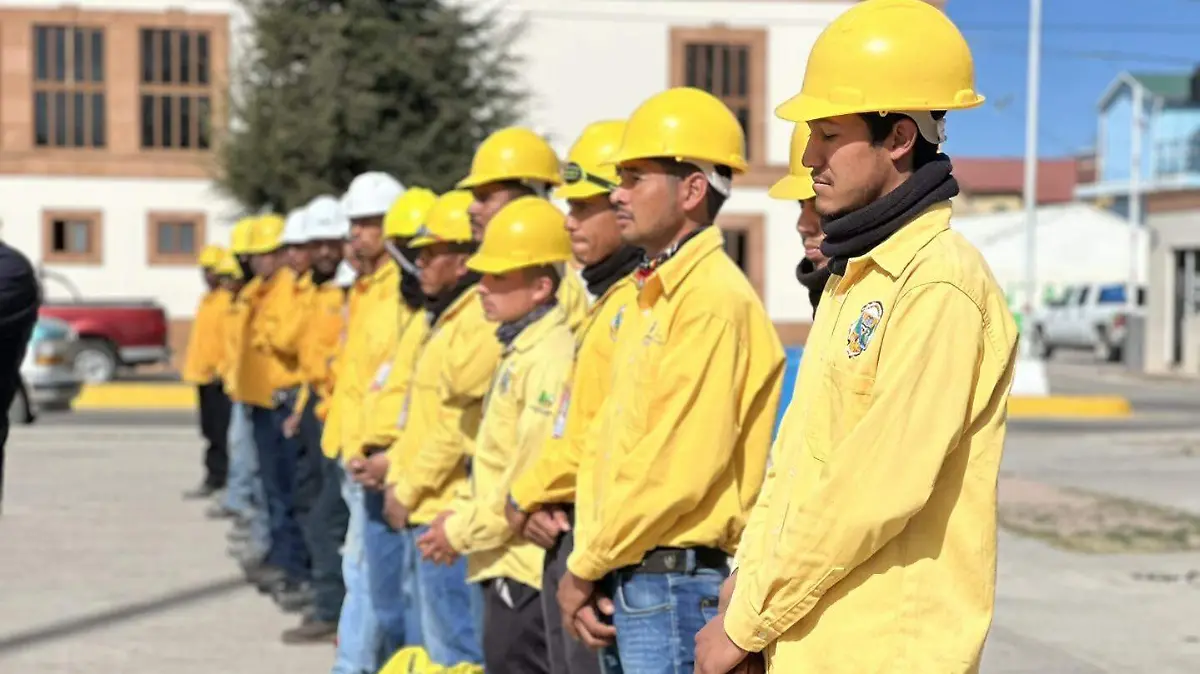 Brigadas contra incendios forestales 