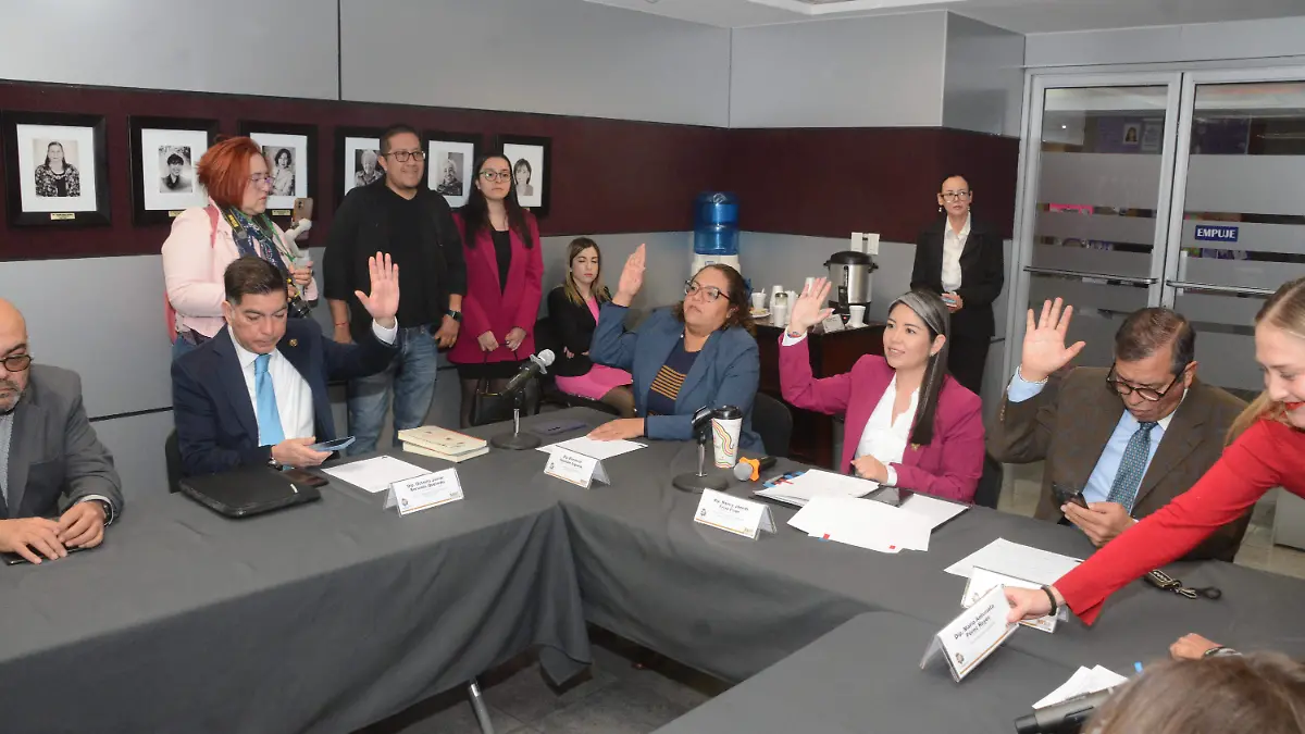 Comisión de seguridad y protección civil 