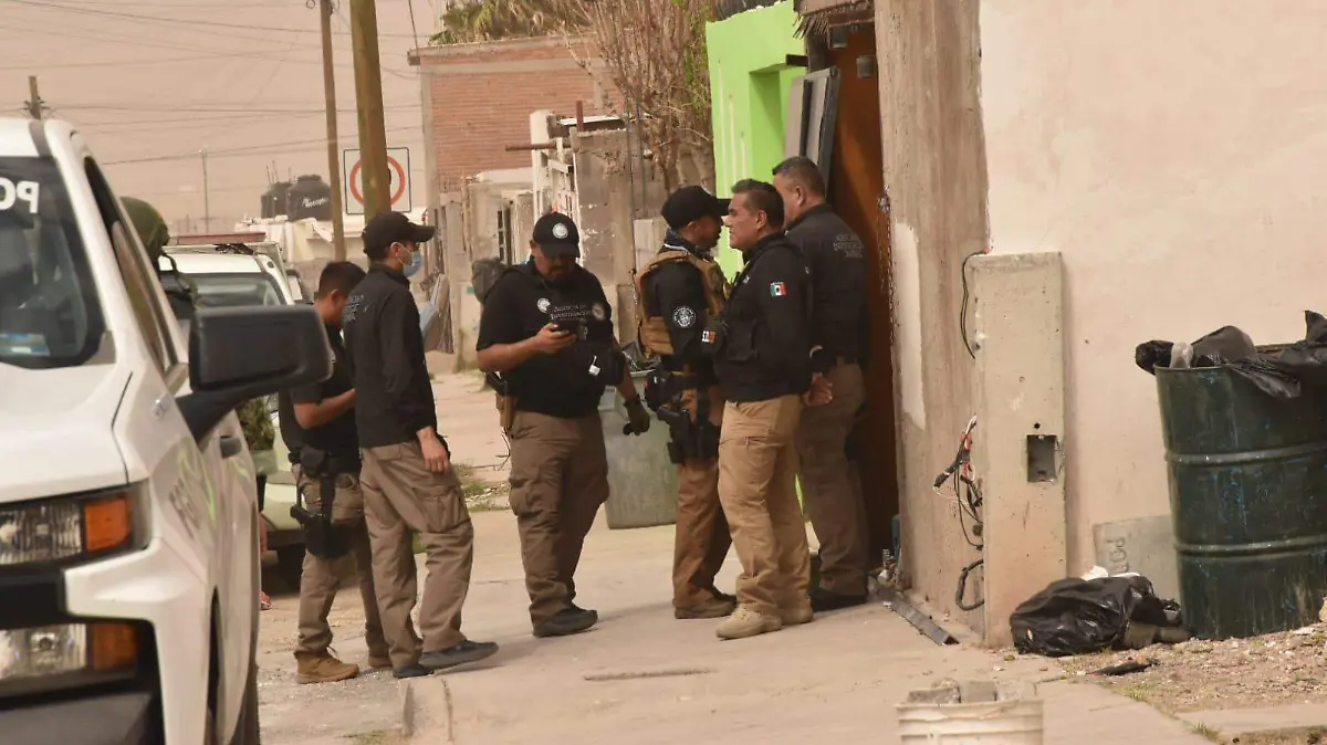 cateo en vistas de san guillermo