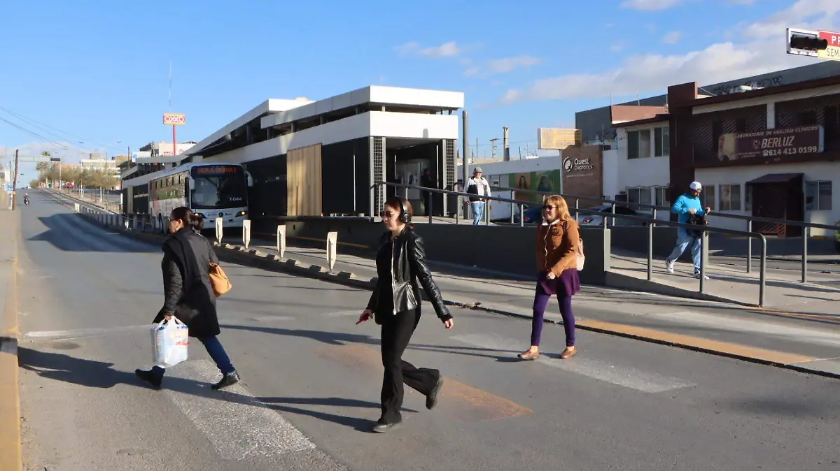 BOWÍ ESTACIÓN VIVEBÚS