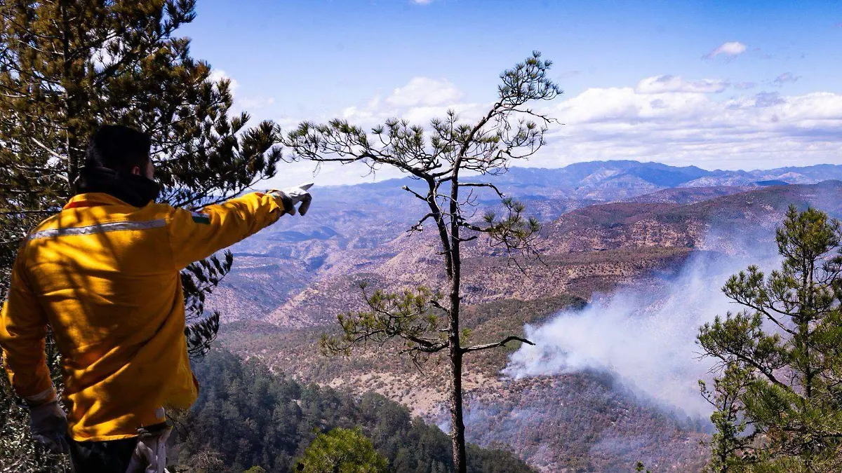 Incendio Madera
