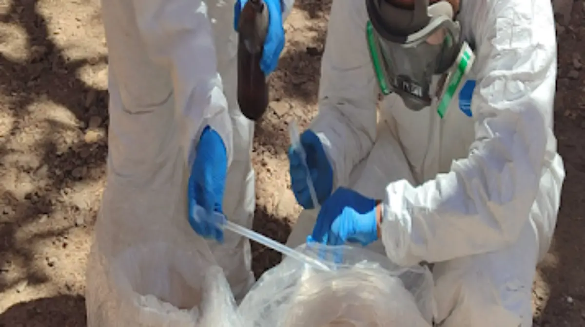 Aseguramiento laboratorio Moris