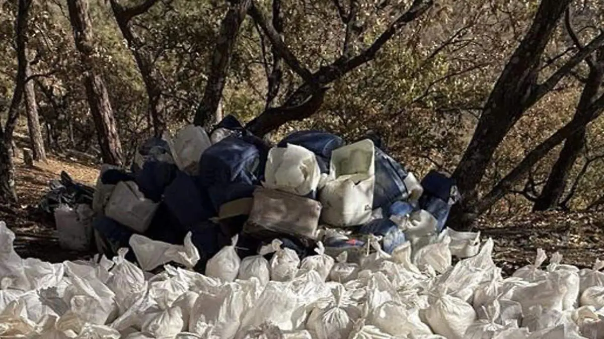 laboratorio clandestino en Moris