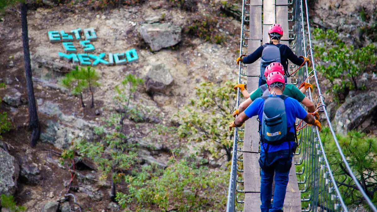 PUENTE COLGANTE barrancas