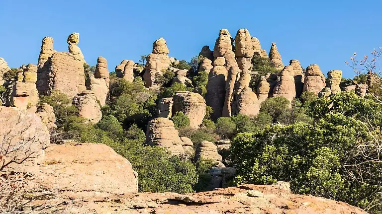 FOTO Global National Parks (1)