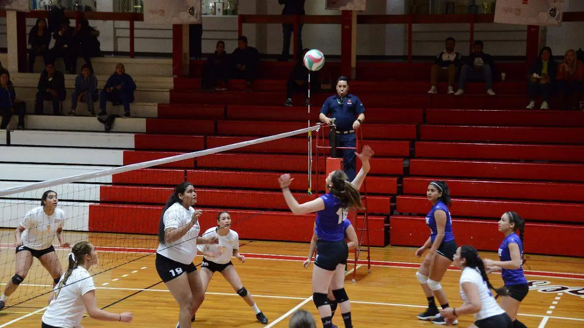 WhatsApp Image 2020-02-28 at 8.11.55 AM