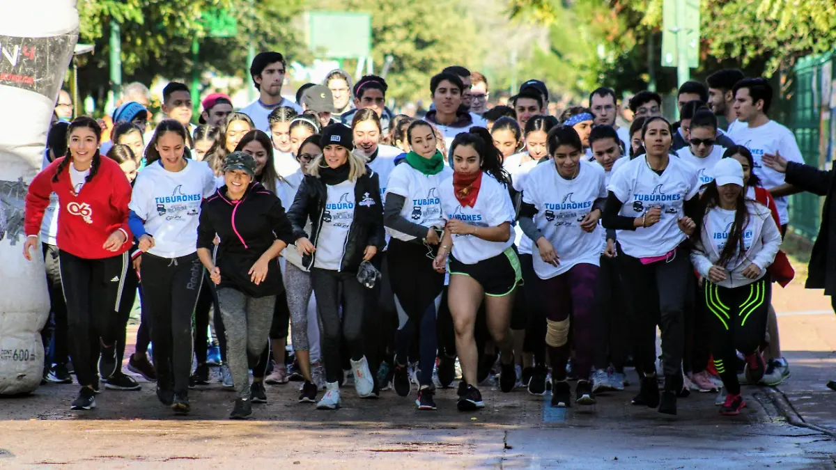 Odontologia. Cortesia Fac Odontologia-3 colas