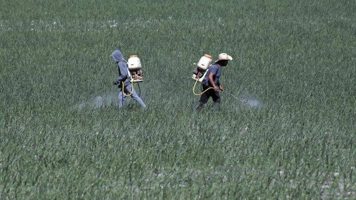 Agricultura-TMEC-cuartoscuro