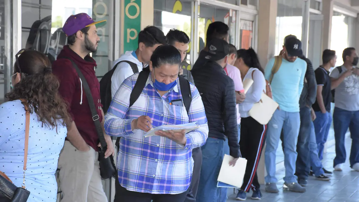 largas filas para entrevistas de trabajo y dejar solicitud (14)