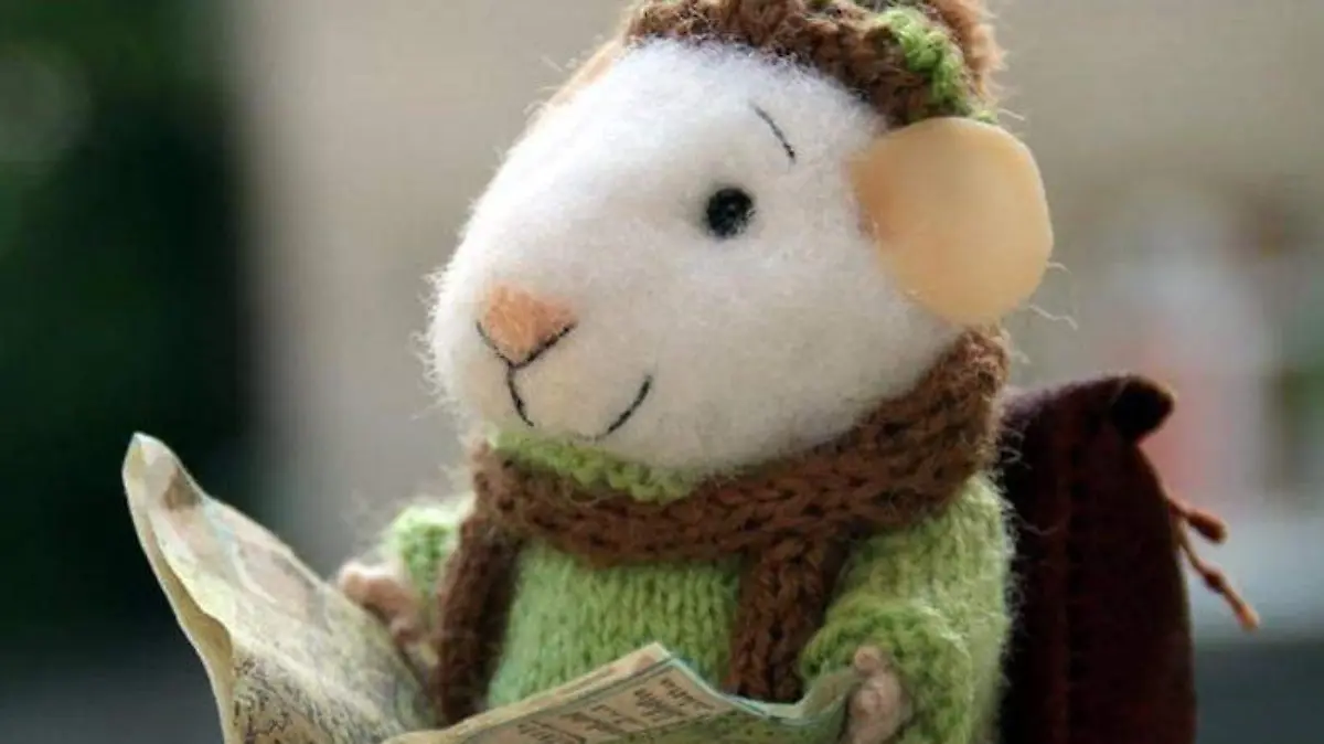 raton portada
