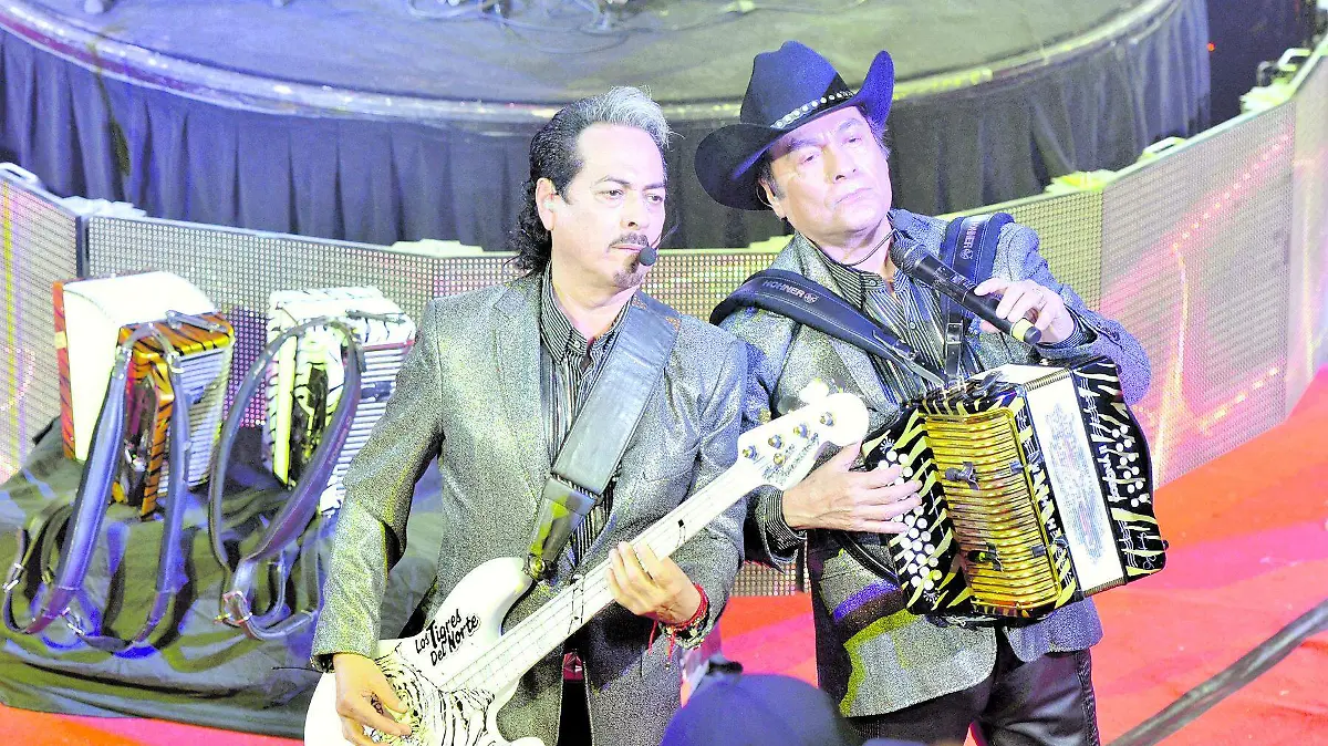 tigres portada
