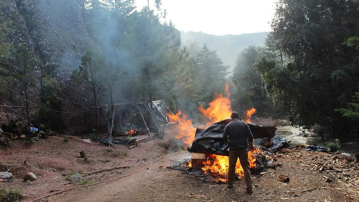 Destruyeron los cuatro campamentos