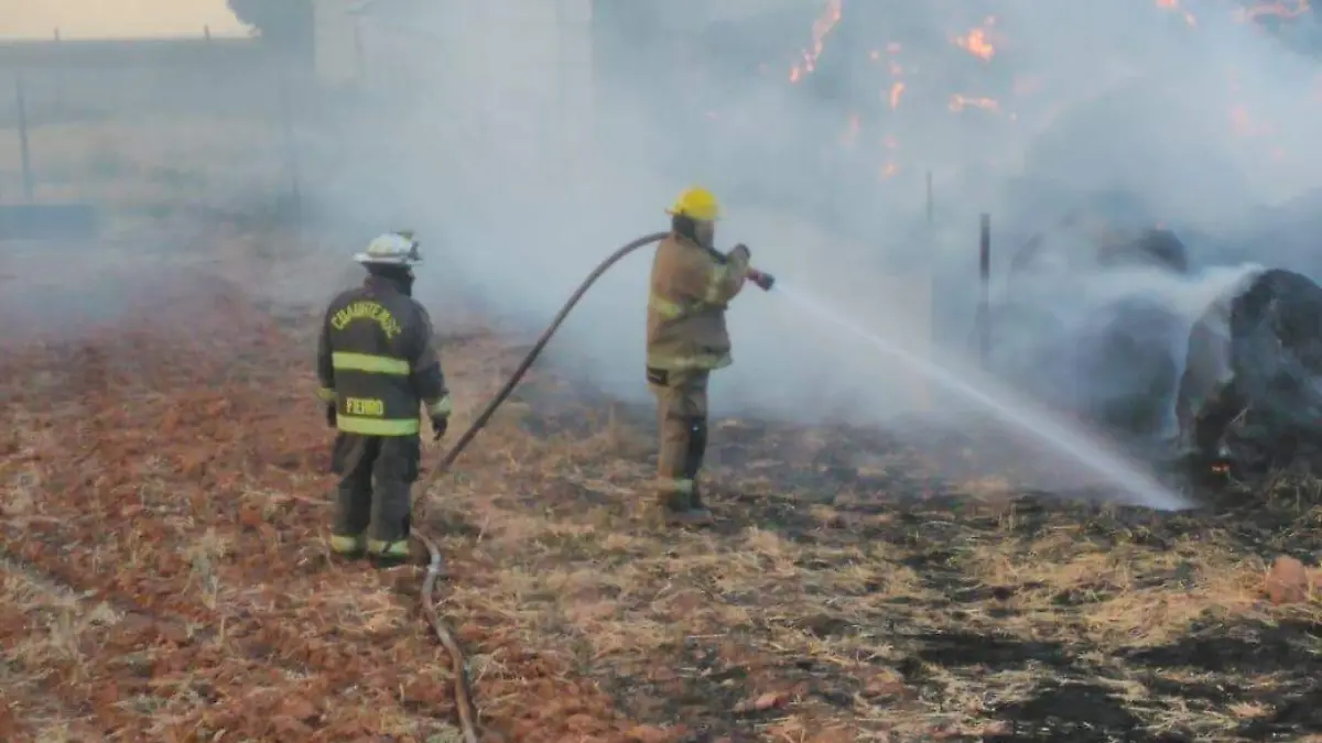 048f423b-fb3b-436a-8e21-fe1a096cb686