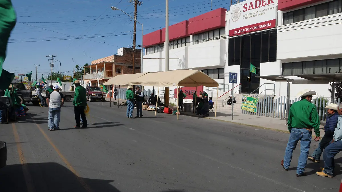 manifestacion sader (14)