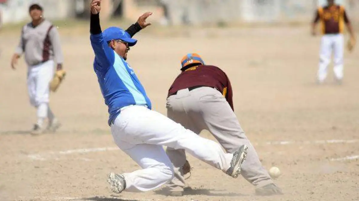 were-master-foto liga master de beisbol