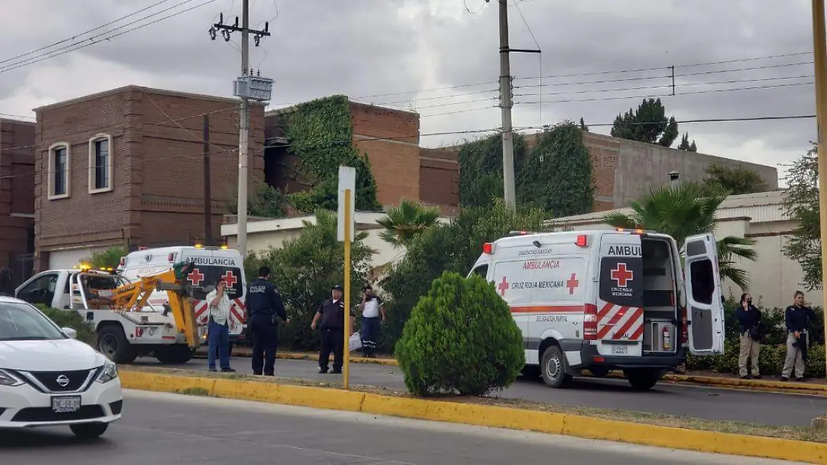 WhatsApp Image 2020-07-02 at 12.34.59 PM (1)